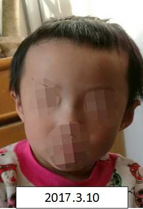 大鸡巴操逼视频免费看